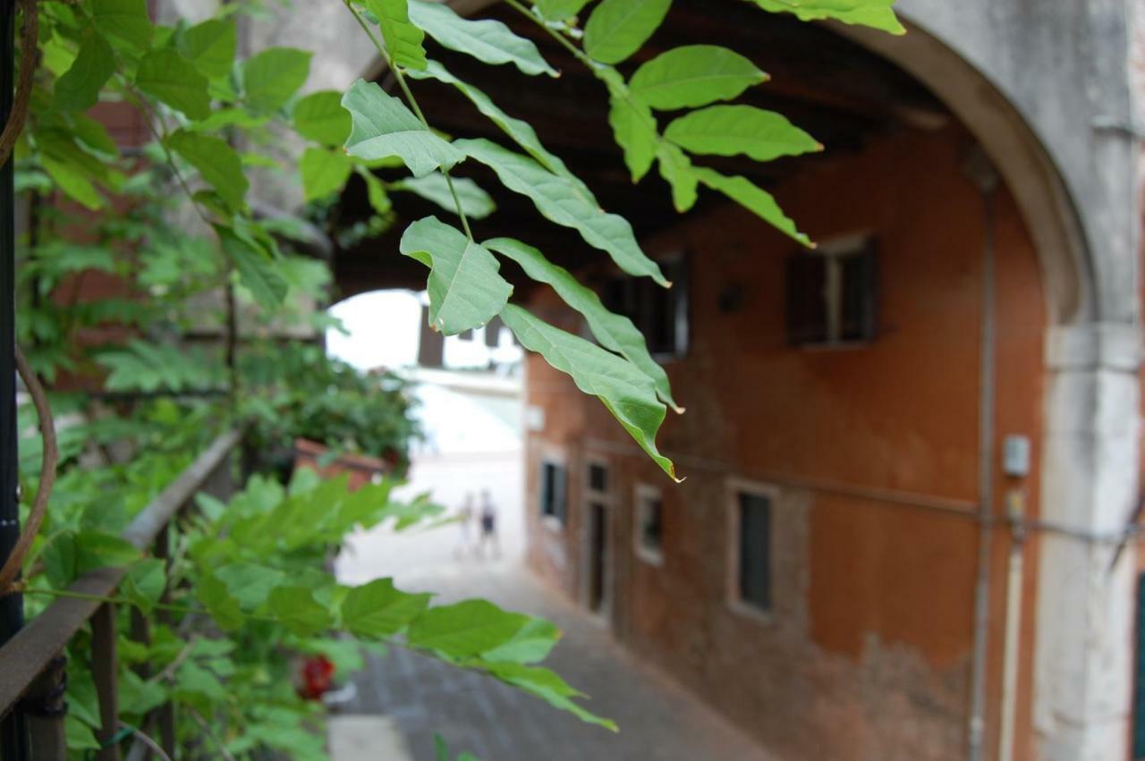 Marinaressa Biennale Apartment